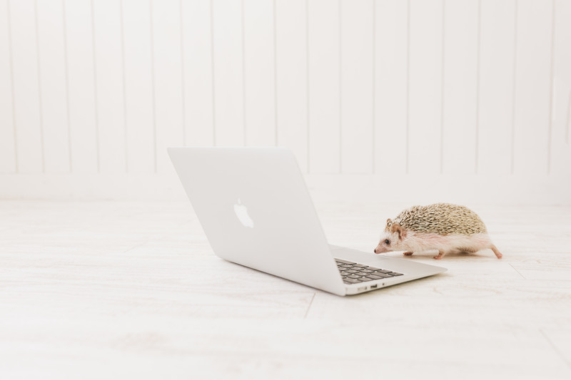 ホームページ制作・運用の用語辞典メインビジュアル